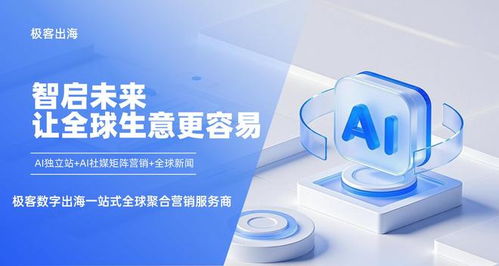 2025年度服務(wù)卓越的極客出海品牌企業(yè)排名 信息技術(shù)咨詢(xún)服務(wù)商的可靠選擇